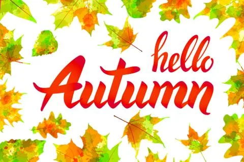 Hello autumn. Hand drawn different colored autumn leaves. Sketch, design el.. Stock Illustration