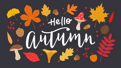 Hello autumn hand drawn vector calligraphy with leaves set. Cute different Illustration