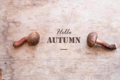 Hello autumn idea Stock Photos