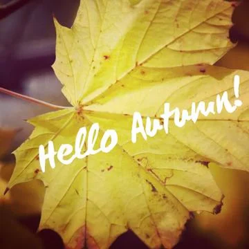 Hello Autumn! Stock Photos