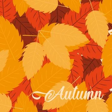 Hello autumn poster with leafs pattern Stock Illustration