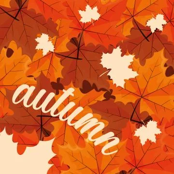 Hello autumn poster with leafs pattern Stock Illustration