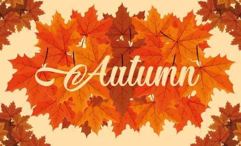 Hello autumn poster with leafs pattern Stock Illustration