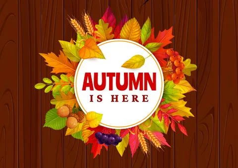 Hello Autumn round banner with fall leaves, acorns Stock Illustration