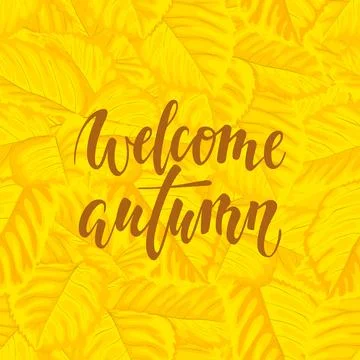 Hello autumn text on yellow background with fall leaves Hand drawn calligra.. Stock Illustration
