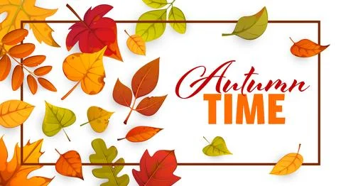 Hello Autumn time poster with fall season leaves Stock Illustration