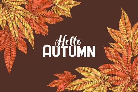 Hello autumn vector banner template with colorful hand drawn maple leaves i.. Stock Illustration