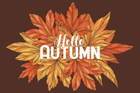 Hello autumn vector banner template with colorful hand drawn maple leaves i.. Stock Illustration