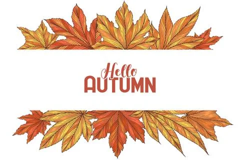 Hello autumn vector banner template with colorful hand drawn maple leaves i.. Stock Illustration