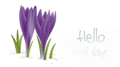 Hello cold days Stock Footage 230487739