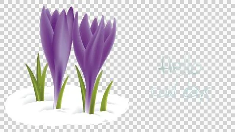 Hello cold days Stock Illustration