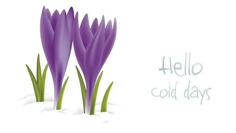 Hello cold days Stock Illustration