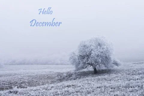 Hello December text with winter scene in the background. Foto stock