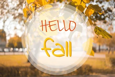Hello Fall. Autumn concept. Composition in forest. Yellow leaves tree lan Stock Photos