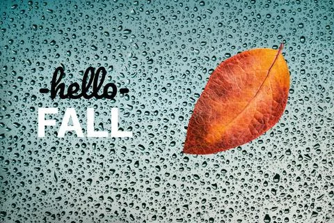 Hello Fall card with autumn leaf on wet window and greeting text Stock-Fotos