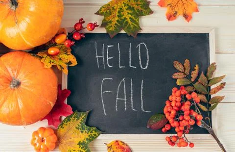 Hello fall. Pumpkins, berries and fallen leaves with chalk blackboard frame on Stock Photos