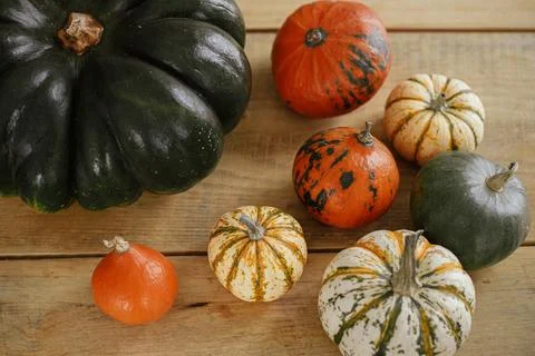 Hello Fall! Pumpkins on rustic wooden table in house. Cozy Autumn, fall hom.. Stock Photos