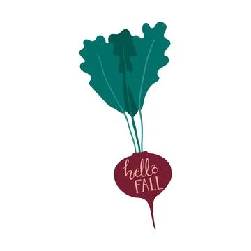 Hello fall quote, lettering, beetroot, radish Illustrazione stock