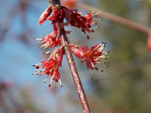 Hello Fasination Stock Photos