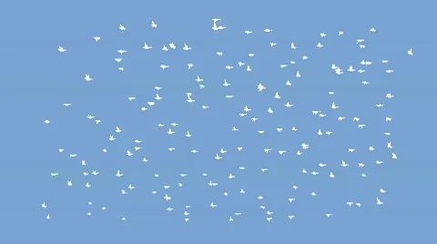 after effects flock of birds download