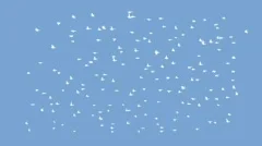 Hello Flock of Birds Stock After Effects