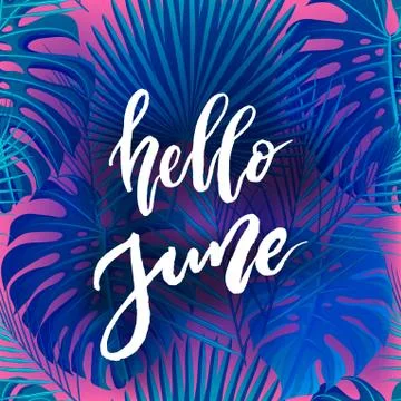 Hello June brush lettering. Stock Illustration
