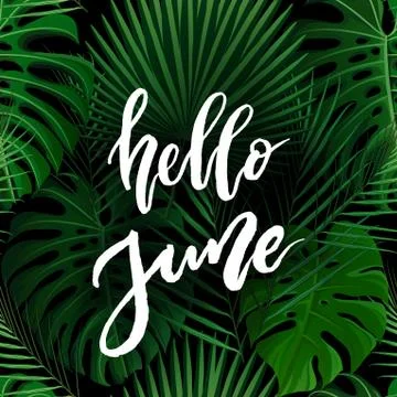 Hello June brush lettering. Stock Illustration