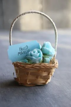 Hello March concept, Rustic still life, roses and tag, vintage stule Stock Photos