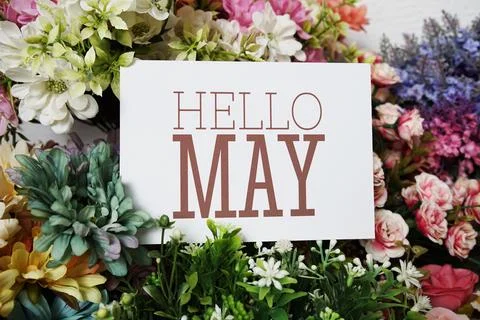 Hello May text message on paper card with beautiful flowers decoration Stock Photos