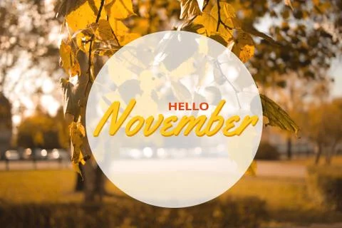 Hello November autumn composition in park. Yellow and orange leaves tree land Stock Photos