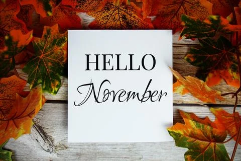Hello November text with maple leaf decotion top view on wooden background Stock Photos
