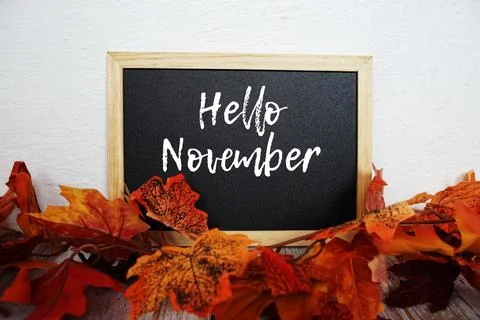 Hello November text message written on blackboard with autumn maple leaves de Stock Photos