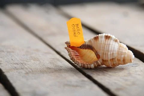 Hello ocean tag. Summer concept. Stock Photos
