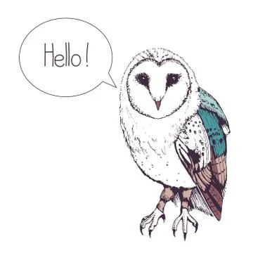 Hello Owl Card 库存插图