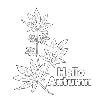 Hello, September autumn fall vector art hand-drawn illustration Stock Illustration