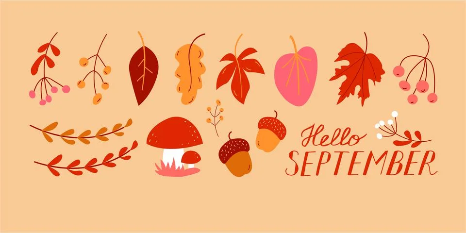 Hello September. SEPTEMBER month vector with leaves, berries, acorn and mushr Illustrazione stock