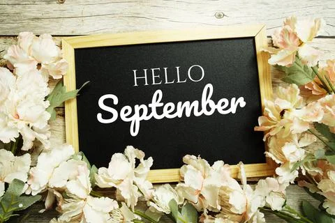 Hello September text message on blackboard with flower decoration on wooden b Stock Photos