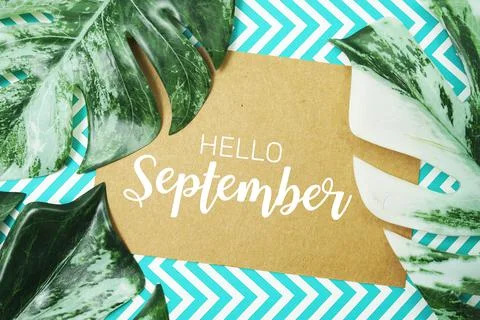 Hello September typography text on paper card with Monstera leaves 库存照片