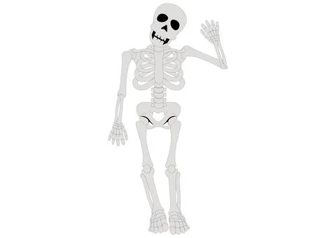 Hello Skeleton. Cartoon Skeleton. Vector illustration of skeleton Stock Illustration
