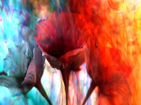 Hello Spring! Adding color after the winter cold concept Video stock 74713722