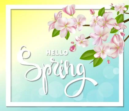 Hello spring background with cherry blossoms, leaves and branches Stock Illustration