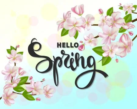 Hello spring background with cherry blossoms, leaves and branches.Greeting card Stock Illustration