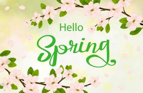 Hello spring background with cherry blossoms 스톡 일러스트