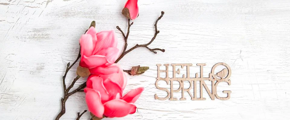 Hello spring background with flowers Stock Photos