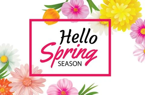 Hello spring banner template with colorful flower.Can be use voucher, wallpap Stock Illustration