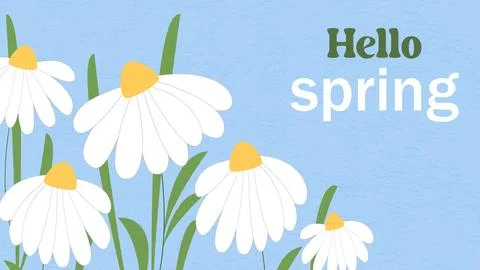 Hello Spring banner Vector graphic Stockillustratie