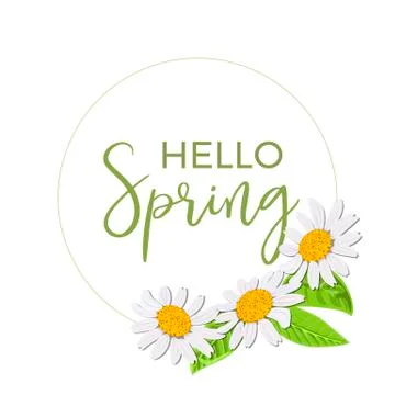 Hello spring. Beautiful Daisy wreath isolated. Elegant floral chamomile flowers Stock Illustration