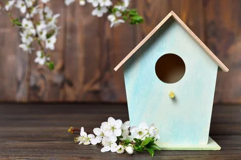 Hello Spring, Birdhouse and spring flowers Foto stock