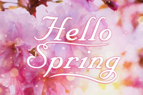 Hello Spring. Blossoming tree outdoors, bokeh effect Stock Photos