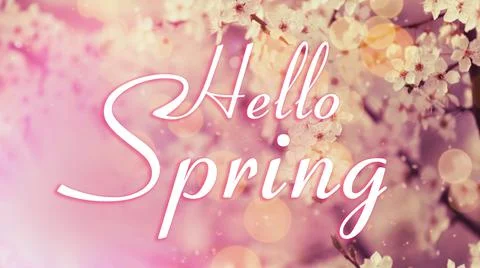 Hello Spring. Blossoming tree outdoors, bokeh effect Stock Photos